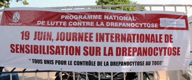 De la gauche vers la droite, Prof Gbadoe (Université de Lomé) Dr Agoudavi (Ministère de la santé) et Dr Agbekou (OMS/Togo)