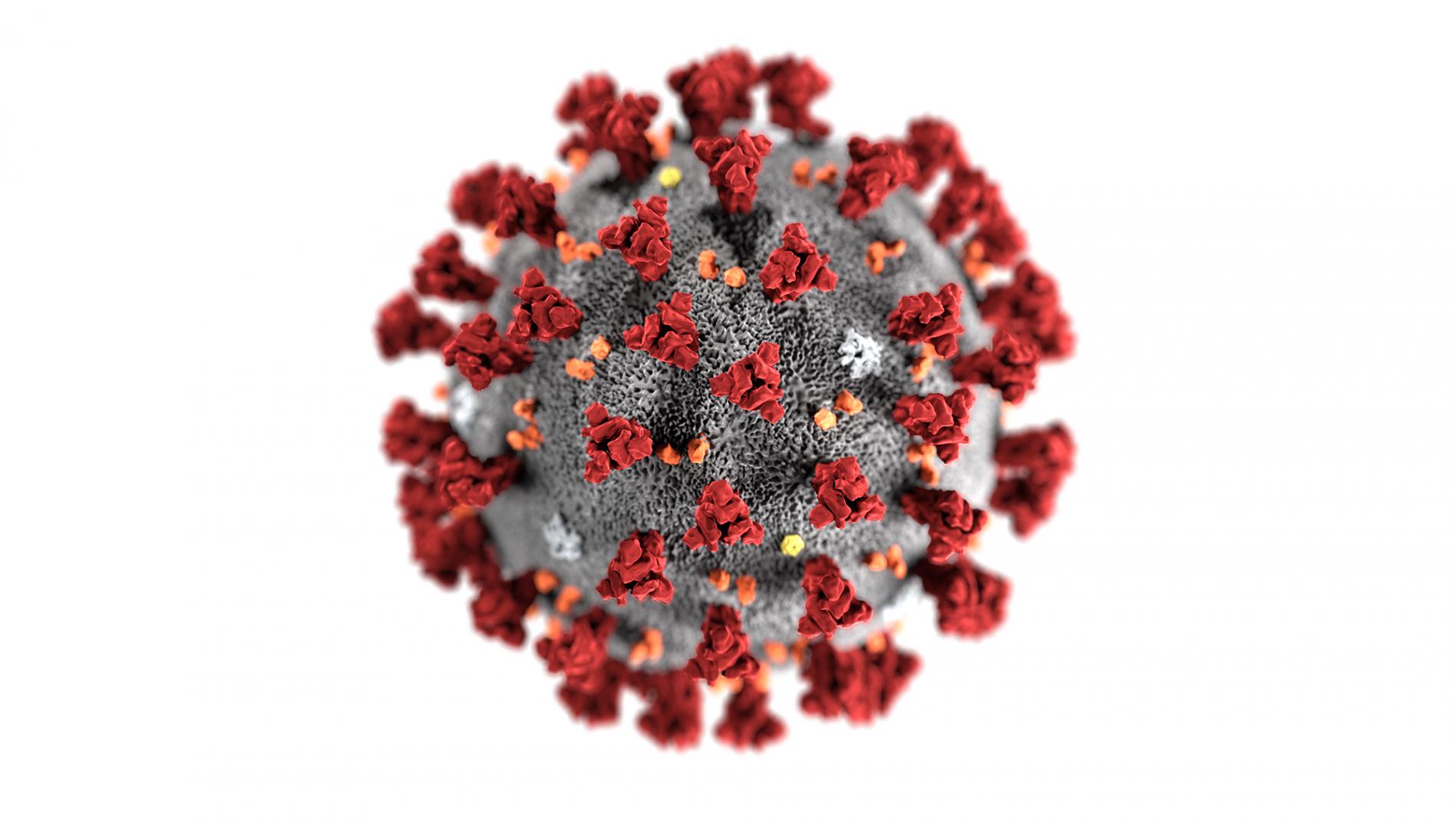 Coronavirus