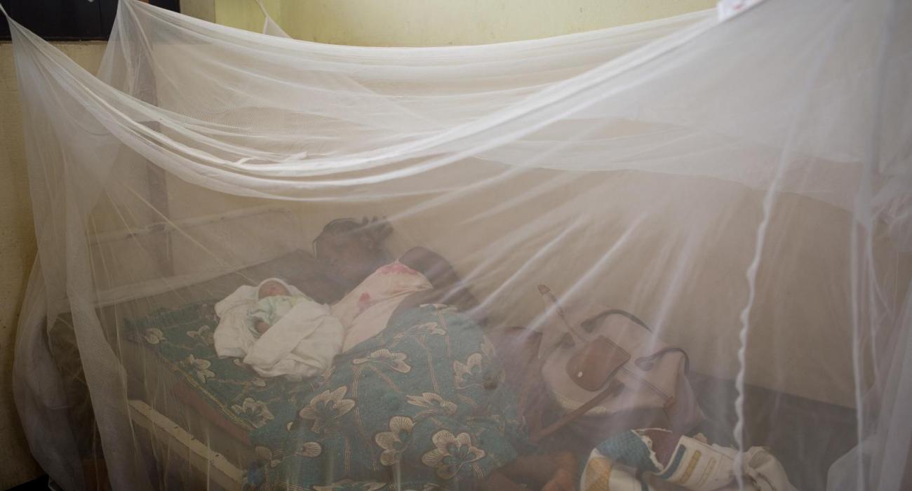 Togo is first African country to end sleeping sickness as a public health problem