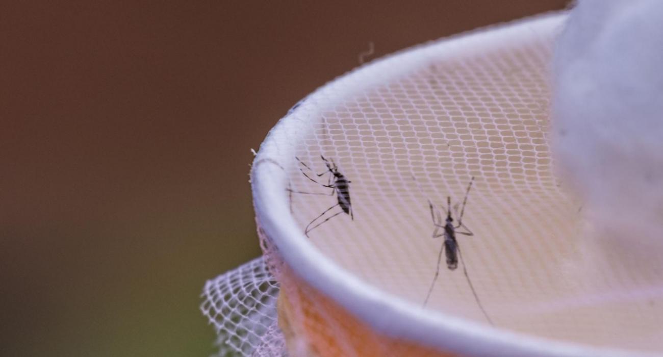 Tanzania intensifies malaria fight in hotspots