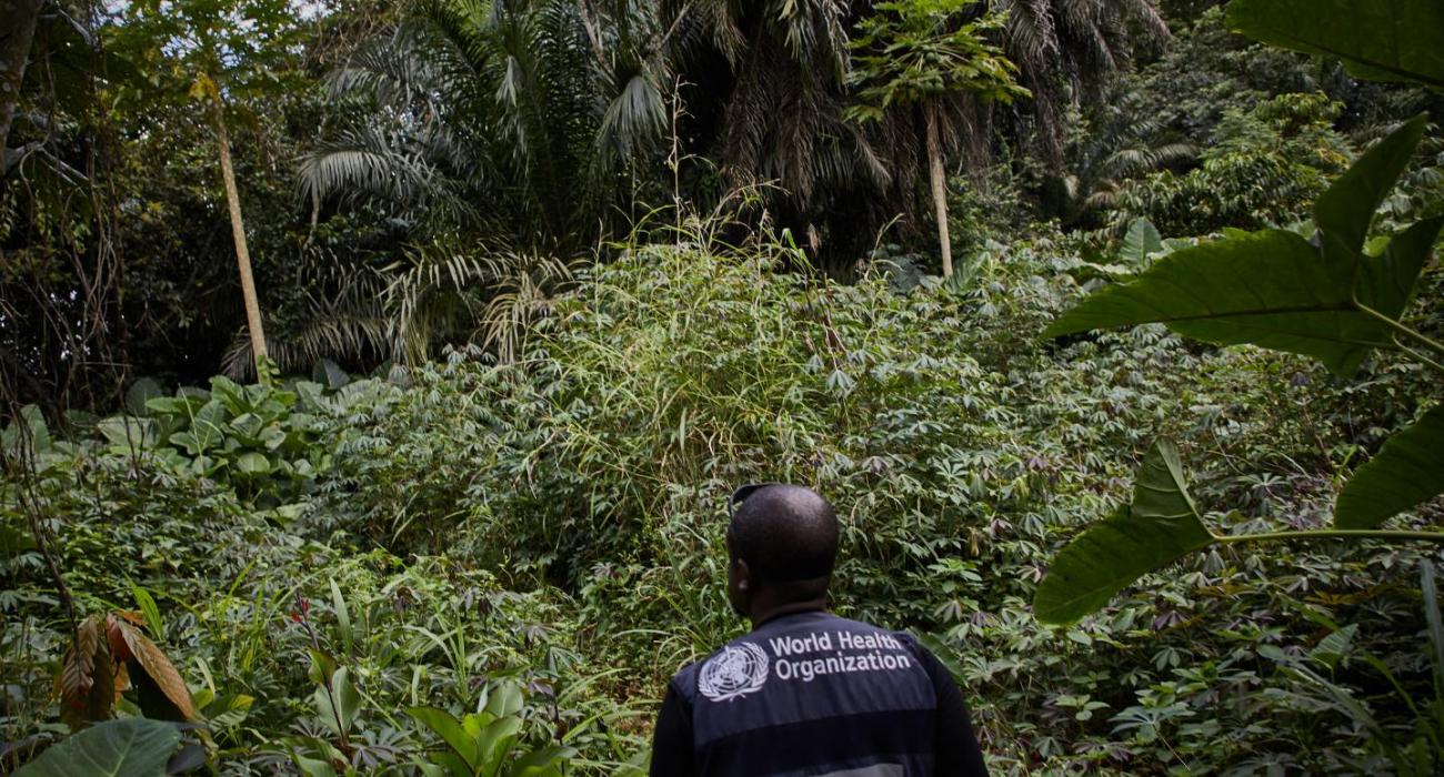 Resurgence of Ebola in North Kivu in the Democratic Republic of the Congo