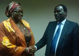 (L-R) Her Excellency, Mrs. Omolewa Ahmed, 1st Lady of Kwara State being welcomed to the WHO office at the UN House, Abuja Nigeria