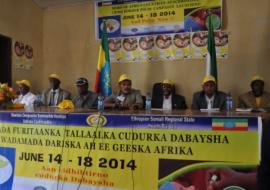 L-R: Dr Samuel Okiror, WHO Horn of Africa Polio Coordinator, WHO; Dr Pierre M’Pele-Kilebou, WHO Representative to Ethiopia; Dr Kebede Worku, State Minister of Health; Mr Ali Abdullahi, Governor of Somaliland; Mr Abdufatah Mohammed Hassen, Vice President of Ethiopia’s Somali Regional State and Head of the Somali Regional Health Bureau; Mr Muhyadin Abdi, Mayor of Togwajale.