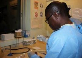 Clinical microbiologists processing samples of suspected meningitis cases