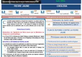 Ce bulletin spécial présente un résumé de la réponse du secteur santé aux flambées de Fièvre Jaune et de Choléra en République Démocratique du Congo jusqu’au 30 juin 2016. Il met surtout en exergue les principales actions réalisées par les partenaires dans les zones affectées par ces deux maladies.