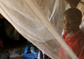 Child in front of insecticide treated bed net EPA/K. Ludbroo