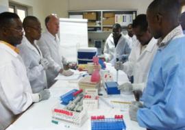 Laboratory practice - Yellow Fever IgM assay