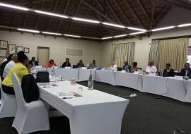 Independent Advisory Group (IAG) meets in Rustenburg, South Africa, from 20-21 March 2018.