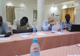 Participants validating the essential medicines list