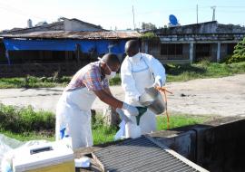 Searching for polio in unusual places in Tanzania