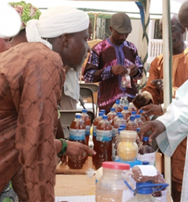 African Traditional Medicines day 2014