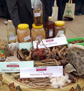 African Traditional Medicine Day 2012