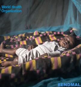 World Malaria Day 2018