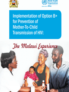 implementation-of-option-b+-for-prevention-of-mother-to-child-transmission