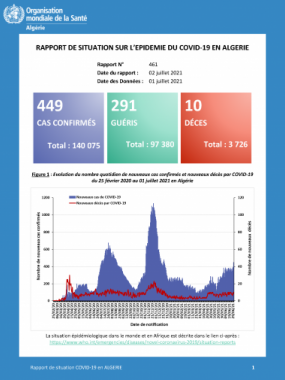 Rapport 461