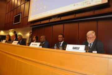 L-R: Dr Julie Jacobson, Uniting to Combat NTDs; (podium) Dr Abdissa Kurkie, DPC Director, MoH of Ethiopia; Mr Xavier Daney, Senior Legal Officer, WHO; Dr Damas Bodzongo, Representative of the Minister of Health of the DRC; Dr Kesetebirhan Admasu, Minister of Health of Ethiopia; Dr Jean Baptiste Roungou, Director of APOC; Dr Pierre M'pele-Kilebou, WHO Representative in Ethiopia; Dr Adrian Hopkins, Executive Secretary of GAELF.