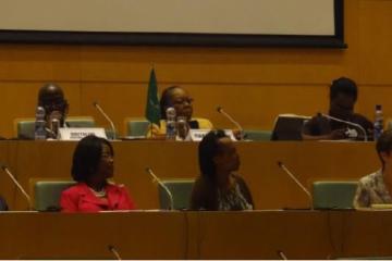 [Above] Chairing the meetings, [Below] Panelists of the African diaspora initiative, AU