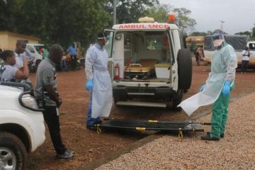 Simulation exercise in Conakry, Guinea