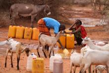 Rain Water collected by the inhabitants in Dollo zone