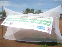 Modele de Moustiquaire Impregnee d insecticide a Longue Duree d Action.