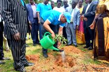 WHO Representative Dr Yonas waters the tree he planted to mark WHO 70th 