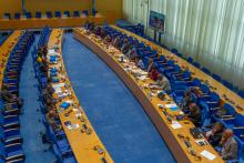 Briefing for new Ministers of Health ends in Congo