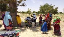 Photo of Nomadic settlement