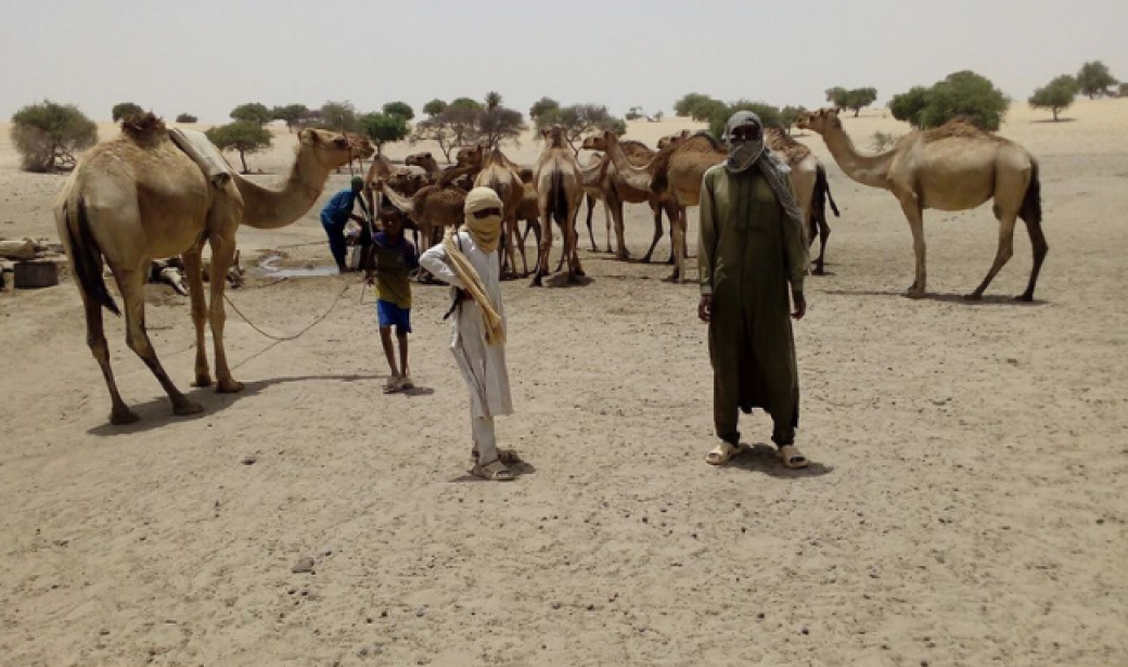 Following African nomads to find every child in need of polio vaccination