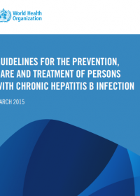 Guidelines for the prevention, care and treatment of persons with chronic hepatitis B infection