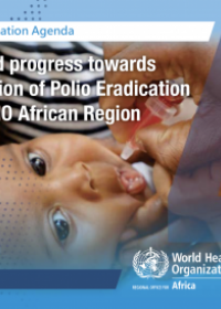 The Transformation Agenda Series 4: Sustained Progress towards Polio Eradication in the WHO African Region