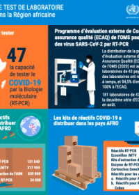 Capacité de test de laboratoire COVID-19 dans la Région africaine